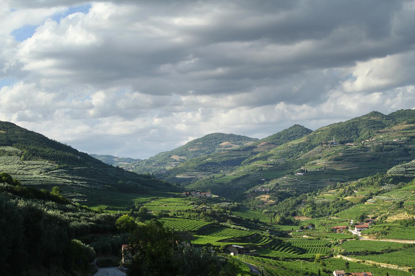 Villa Di Cazzano - Bioluxury Living โซอาวี ภายนอก รูปภาพ