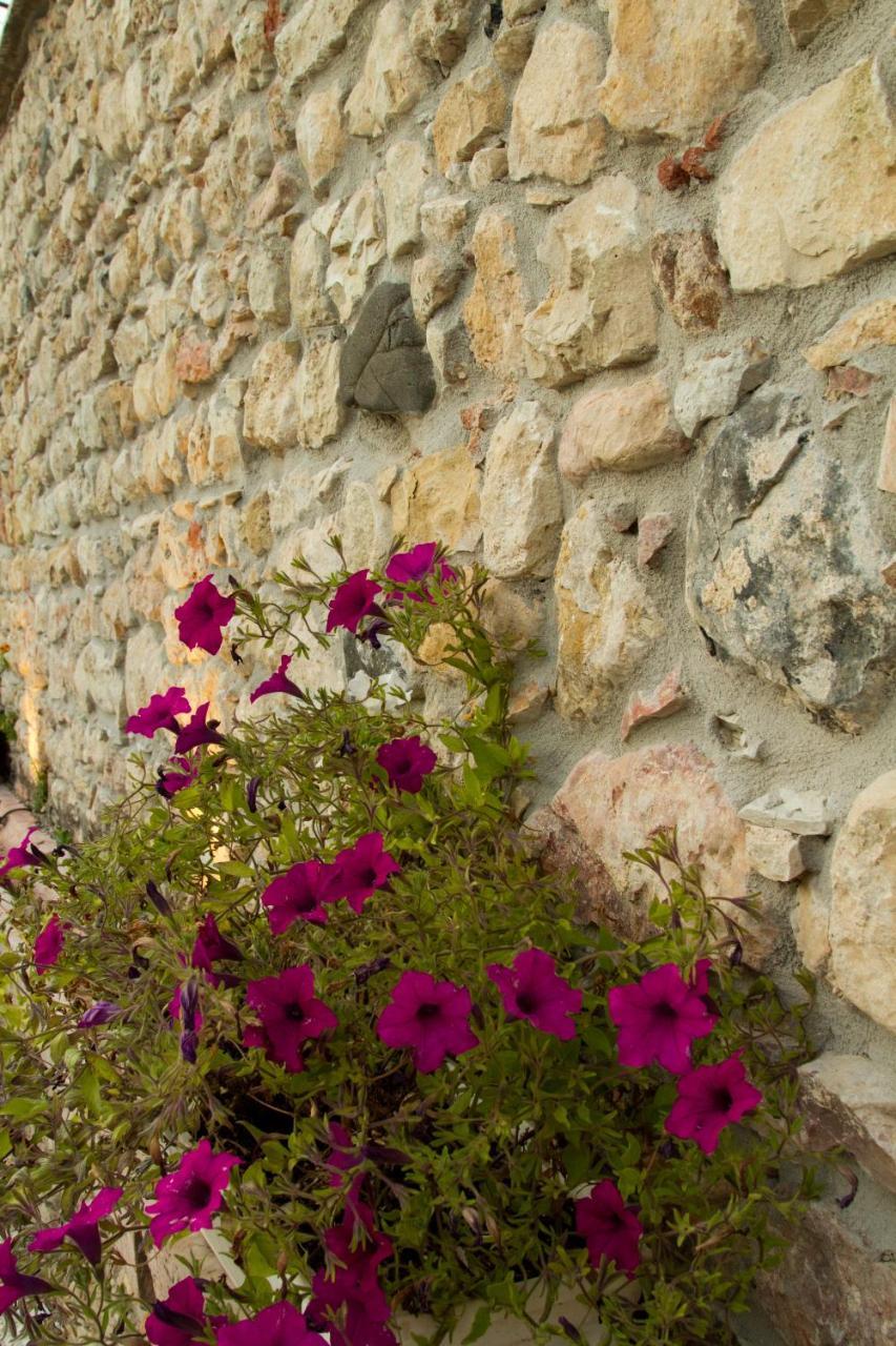 Villa Di Cazzano - Bioluxury Living โซอาวี ภายนอก รูปภาพ