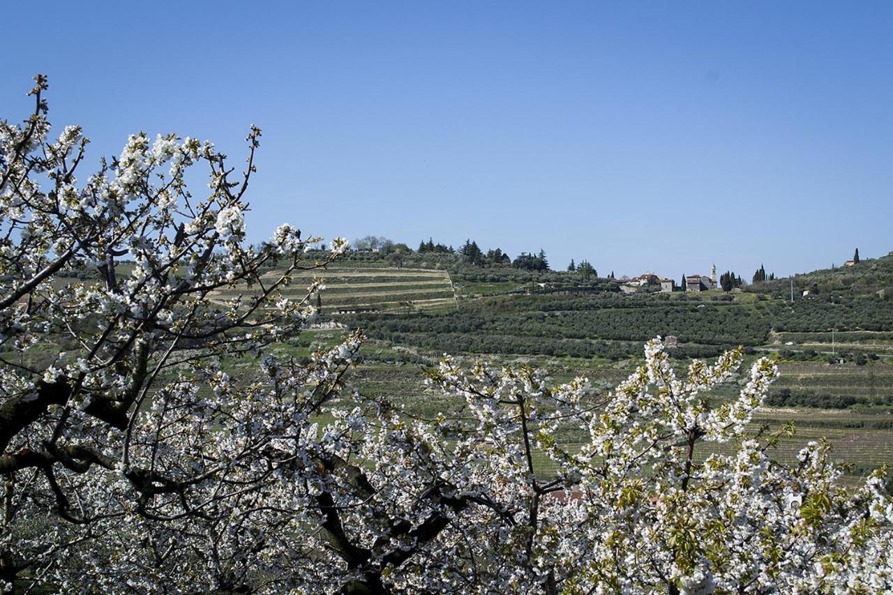 Villa Di Cazzano - Bioluxury Living โซอาวี ภายนอก รูปภาพ